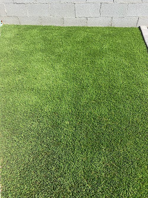 Beautiful Bermuda Artifical Grass