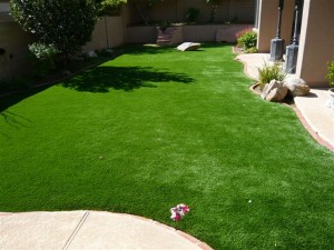 artificial grass over dirt landscape