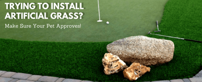 install atificial grass pet approved