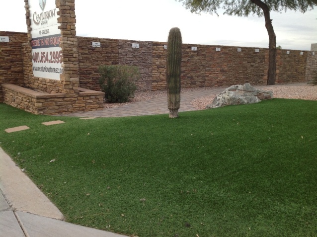 centurion stone artificial grass frontyard