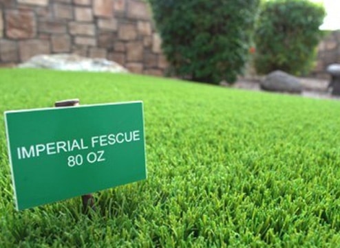 imperial fescue artificial grass