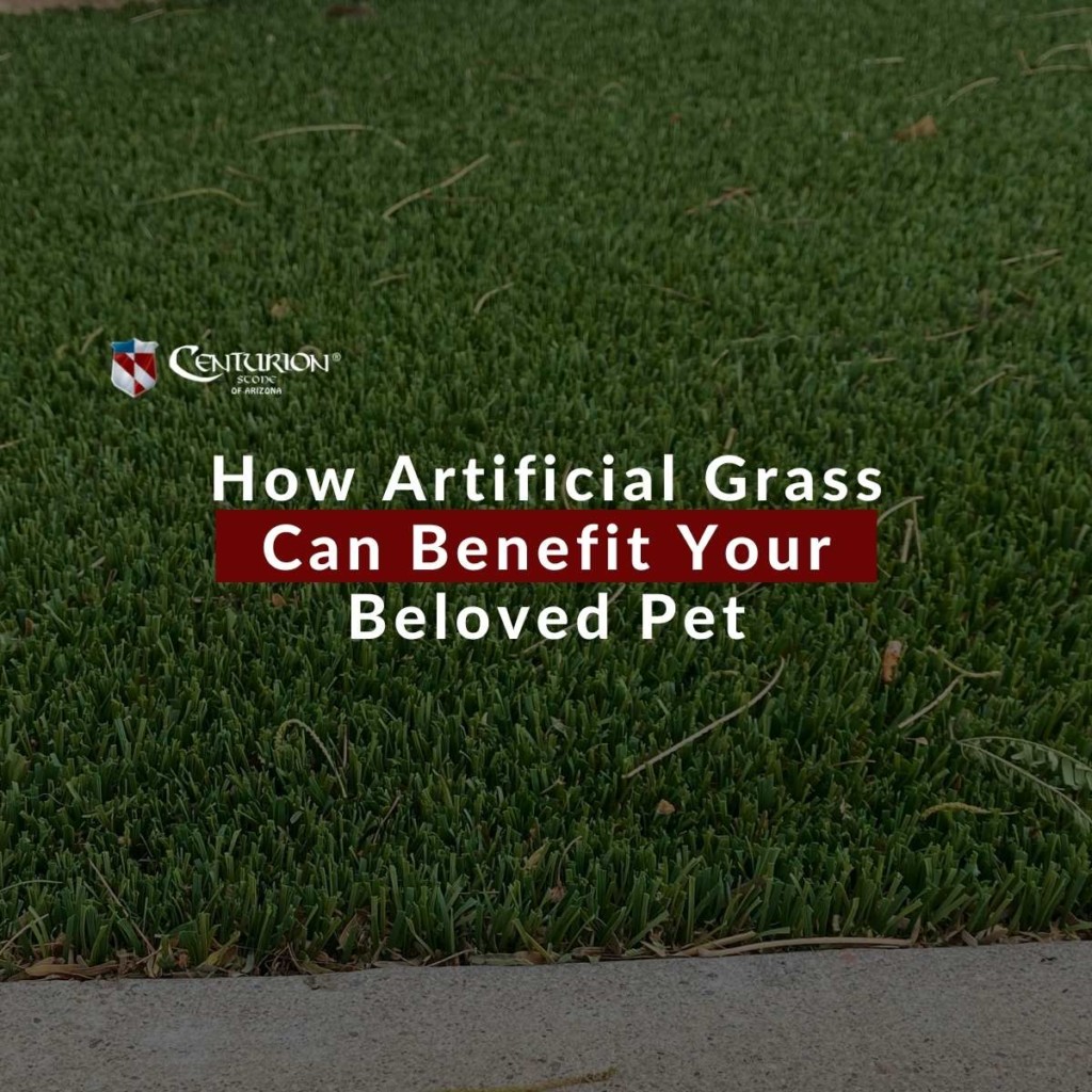 How Artificial Grass Can Benefit Your Beloved Pet