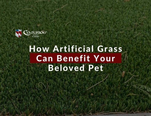 How Artificial Grass Can Benefit Your Beloved Pet