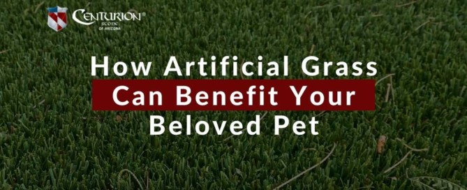 How Artificial Grass Can Benefit Your Beloved Pet