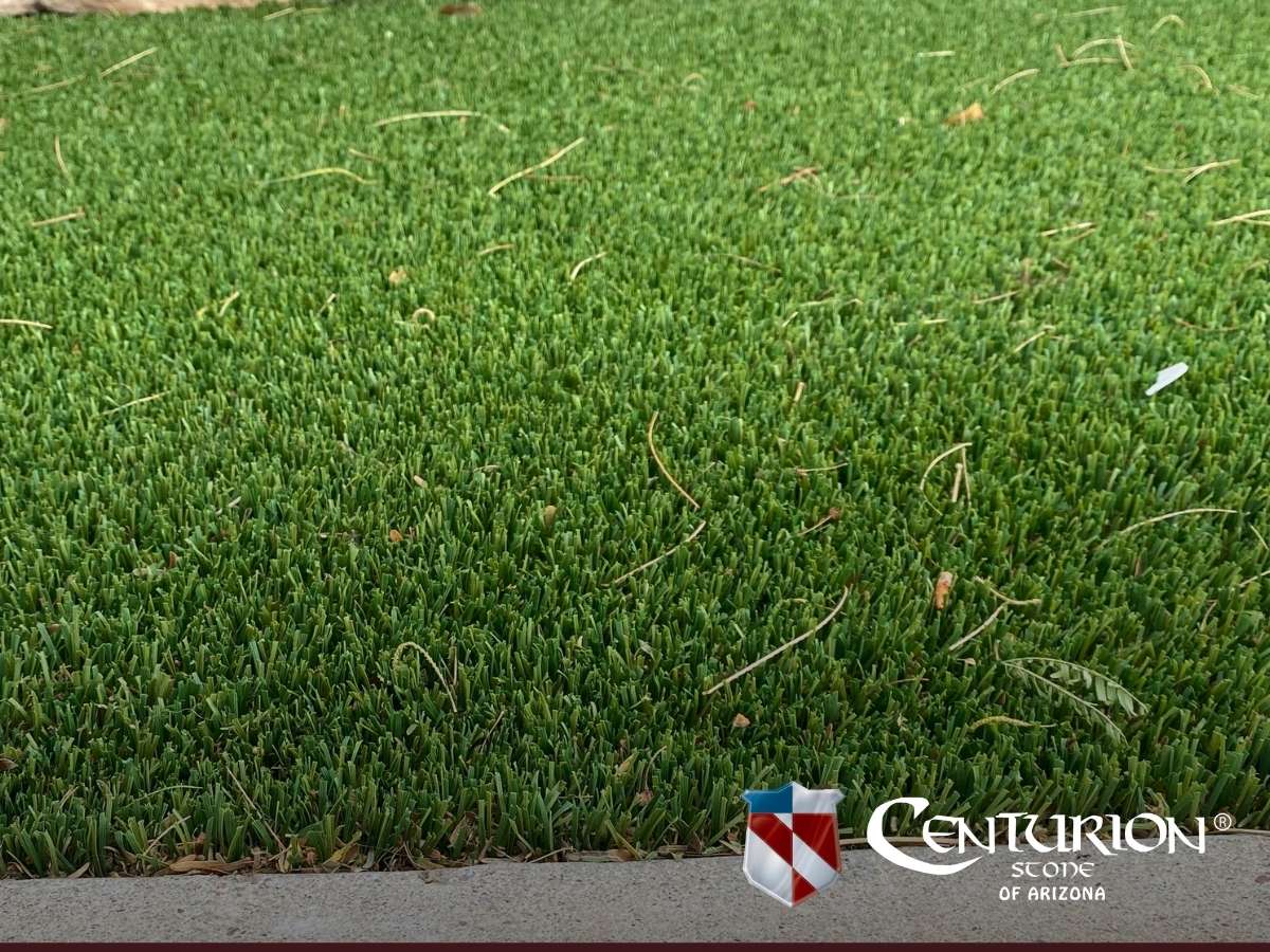 Installing Artificial Grass To Create a Beautiful & Safe Yard For Your Pets In Mesa, AZ.