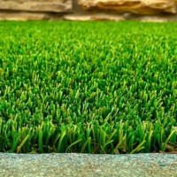 Pet Turf - Image 2