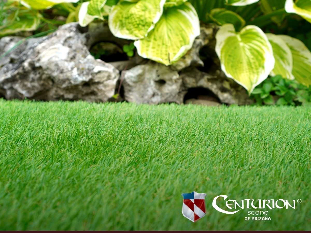 Recommendations To Choose The Right Turf For Your Yard 