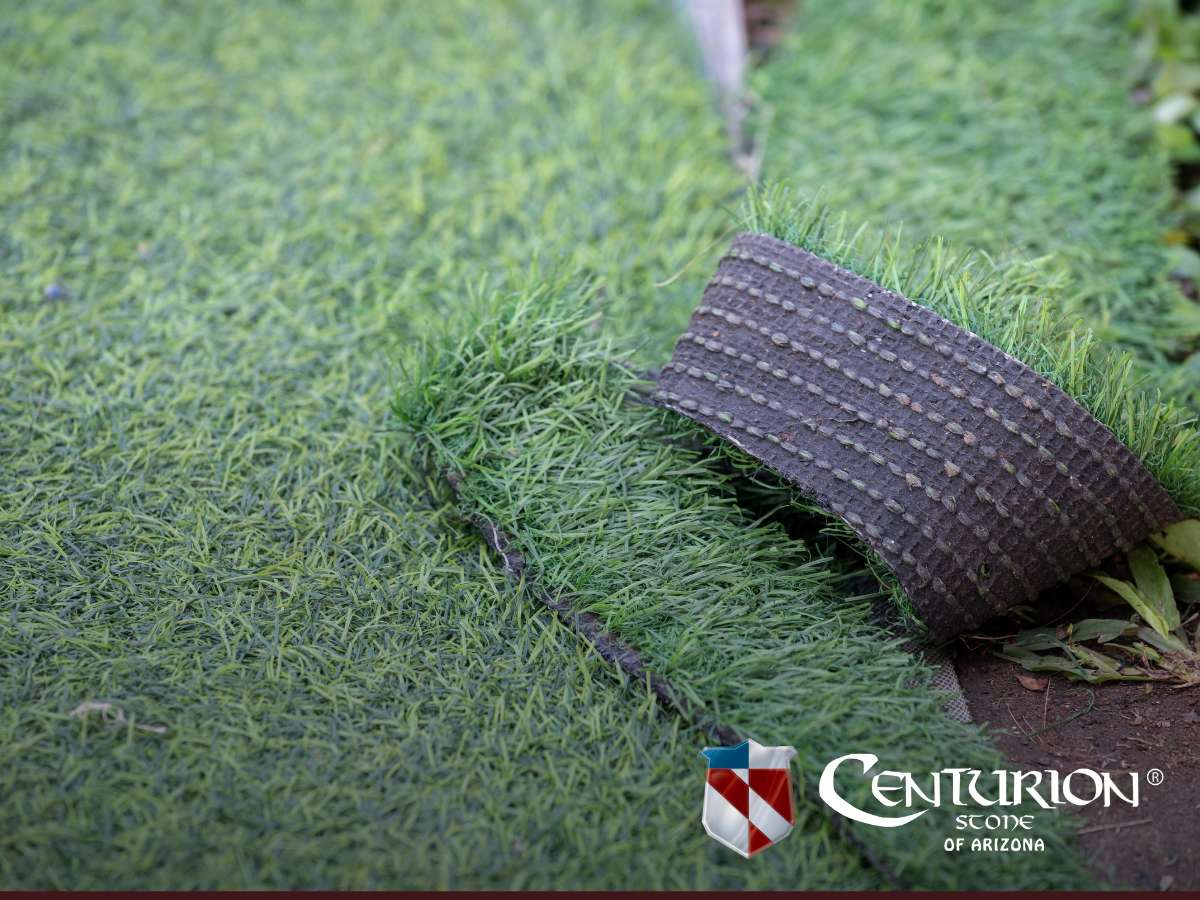 Artificial Grass in AZ